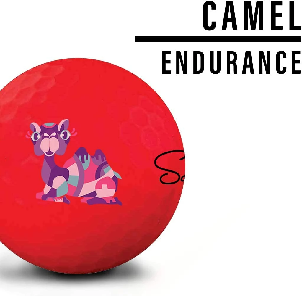 Saintnine America Saintnine Misty Premium Matte Golf Balls 8 Saintnine America Saintnine Misty Premium Matte Golf Balls - Image 6